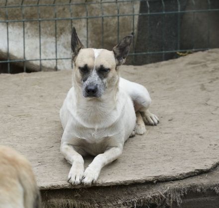 NALA möchte ihre Lebensfreude zurück
