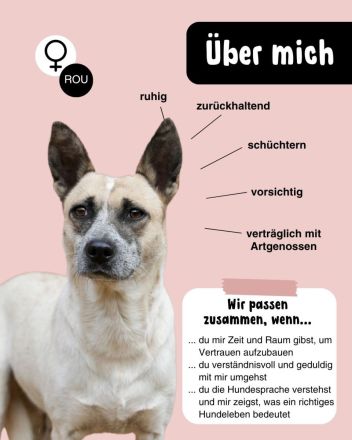 NALA möchte ihre Lebensfreude zurück