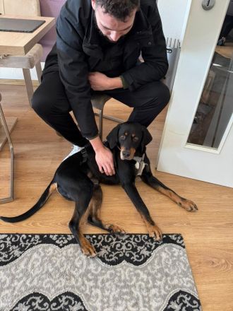 RICCO Herz mit Charakter