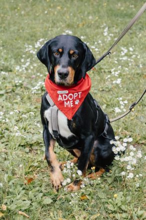 RICCO Herz mit Charakter