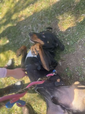 RICCO Herz mit Charakter