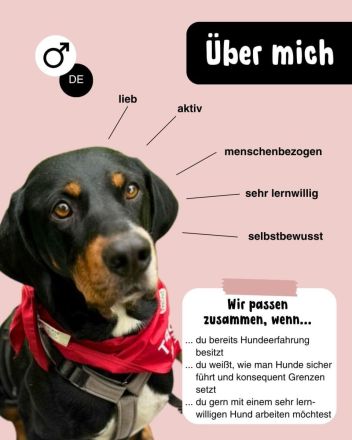 RICCO Herz mit Charakter