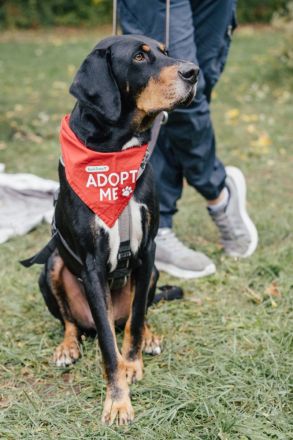 RICCO Herz mit Charakter