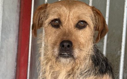 Finchen wartet geldudig auf ihren Neuanfang!