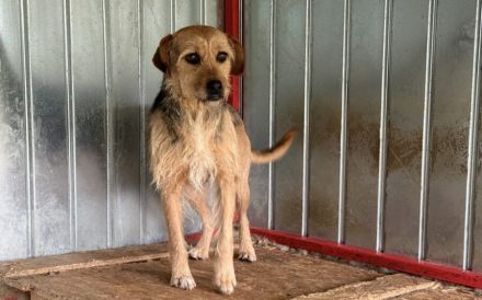 Finchen wartet geldudig auf ihren Neuanfang!