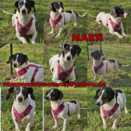 Marti möchte ins Warme