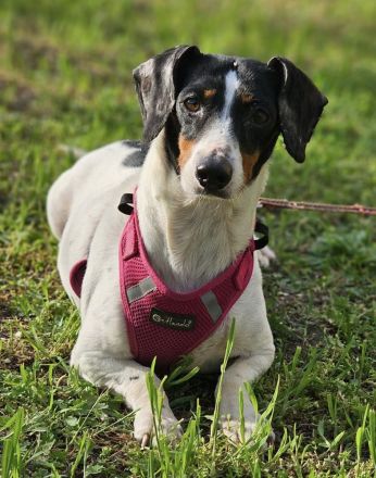 Marti möchte ins Warme