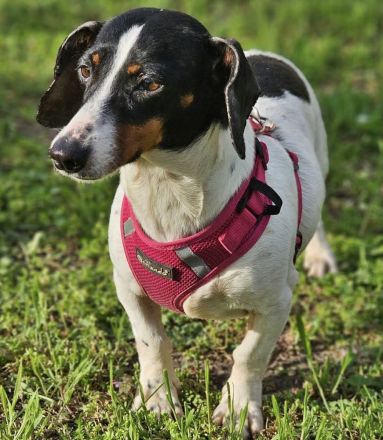 Marti möchte ins Warme