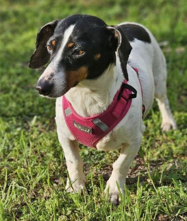 Marti möchte ins Warme