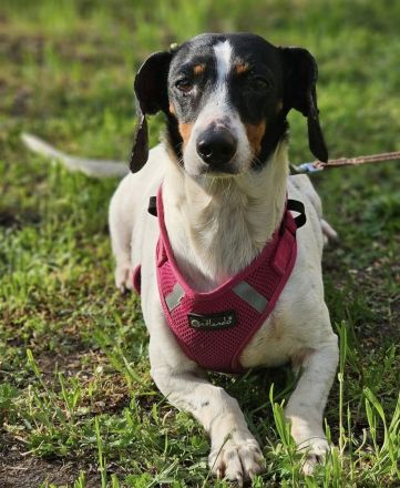 Marti möchte ins Warme