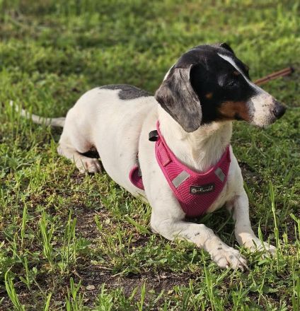 Marti möchte ins Warme