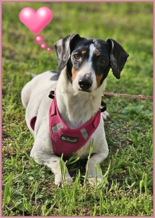 Marti möchte ins Warme