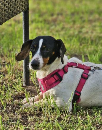 Marti möchte ins Warme