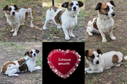 Nandel braucht dringend ein Körbchen