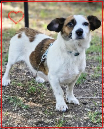 Nandel braucht dringend ein Körbchen