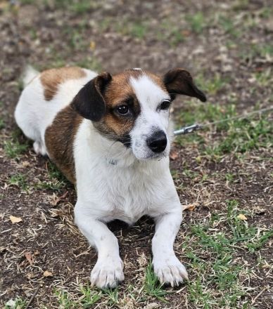 Nandel braucht dringend ein Körbchen