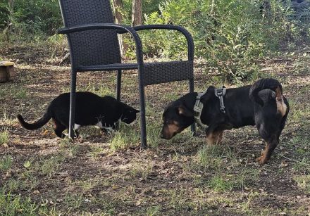 Auch Gunter hofft Menschen die ihn umsorgen zu finden