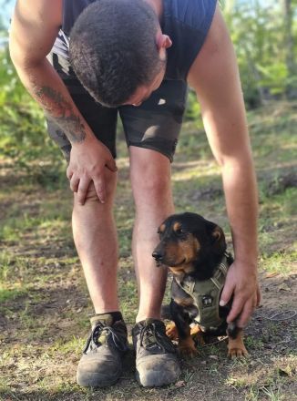Auch Gunter hofft Menschen die ihn umsorgen zu finden