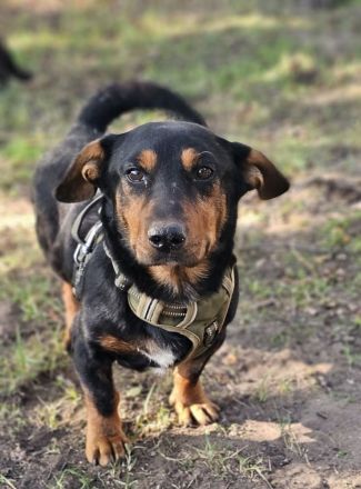 Auch Gunter hofft Menschen die ihn umsorgen zu finden