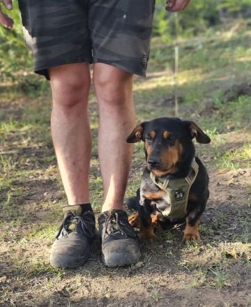Auch Gunter hofft Menschen die ihn umsorgen zu finden