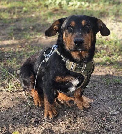 Auch Gunter hofft Menschen die ihn umsorgen zu finden