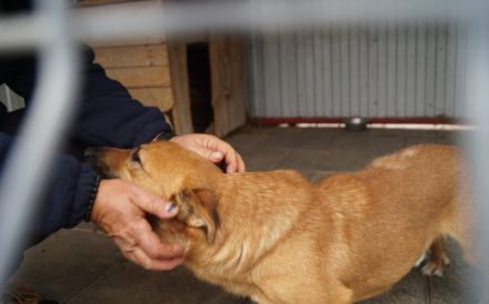 Funny - ein echtes Unikat