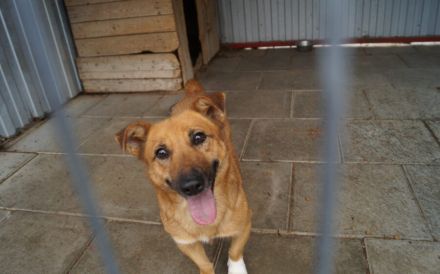 Funny - ein echtes Unikat