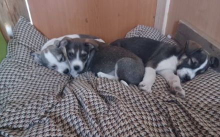 Jenni wartet auf dich!