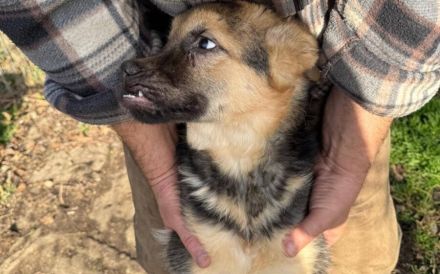Feli überzeugt mit zauberhaftem Wesen