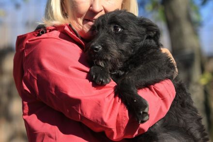 Luca - sucht das beste Zuhause