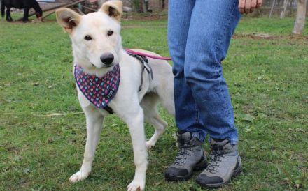 Sonnenschein Souraya sucht ihre Menschen