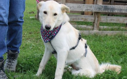 Sonnenschein Souraya sucht ihre Menschen