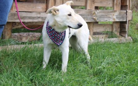 Sonnenschein Souraya sucht ihre Menschen