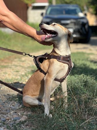 Luna: eine zarte Seele sucht ihr Zuhause