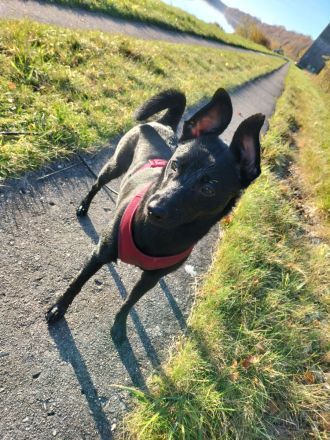 Mein rechter rechter Platz ist leer.....