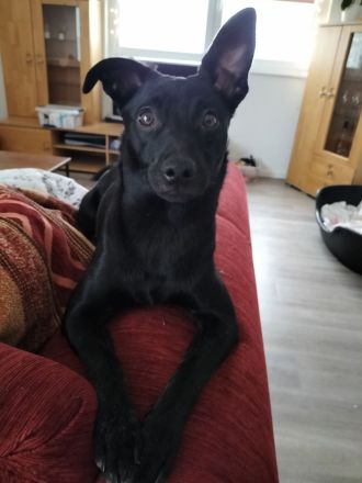 Mein rechter rechter Platz ist leer.....