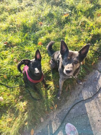 Mein rechter rechter Platz ist leer.....