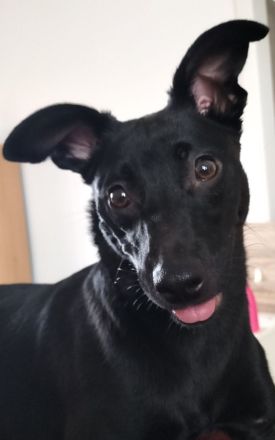 Mein rechter rechter Platz ist leer.....