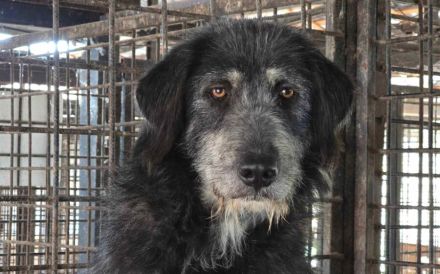 Gib Betty eine zweite Chance: Ihr Herz braucht Zeit zum Öffnen