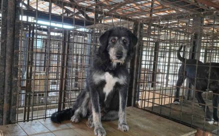 Gib Betty eine zweite Chance: Ihr Herz braucht Zeit zum Öffnen