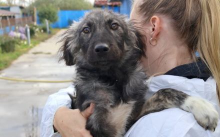 Sora - Kleine Kämpferin mit großem Herz