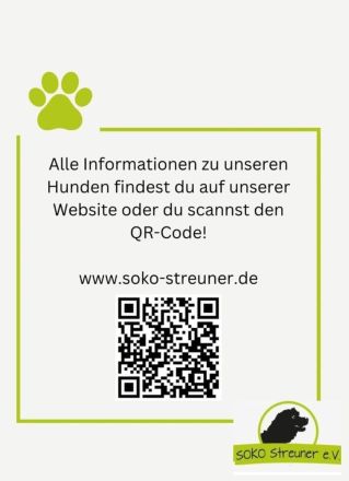 Suerte, Gnadenplattz gesucht! ein freundlicher Kerl sucht Menschen, die ihn fördern