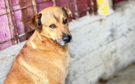 Schenkst du Oski Mut und Selbstvertrauen?