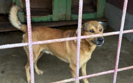 Schenkst du Oski Mut und Selbstvertrauen?