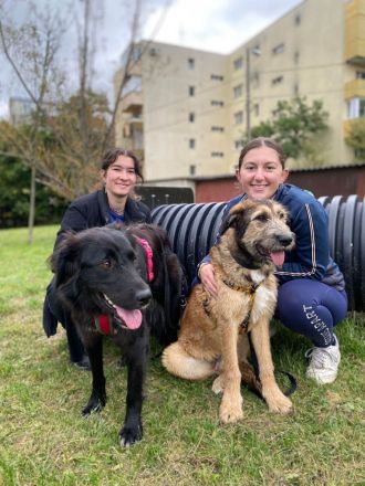 Murphy möchte sein weiches, liebevolles Wesen zeigen