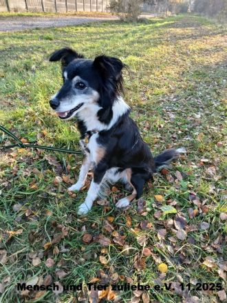 Anton sehr lieb und sozial