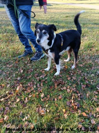 Anton sehr lieb und sozial