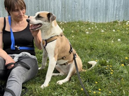 Fröhliche junge Betsy sucht Zuhause