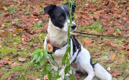 Klein Julika ist ein wahrer Schatz