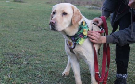 Hat Lindi dein Herz schon erobert?